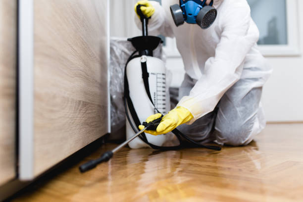 Best Pest Prevention Services  in Carpendale, WV