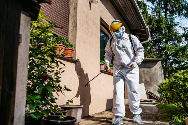 Best Ant Control Services  in Carpendale, WV