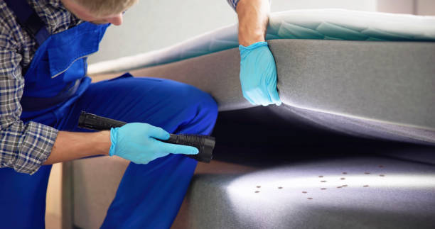Wasp Removal Services in Carpendale, WV