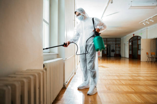 Best Affordable Pest Control Services  in Carpendale, WV