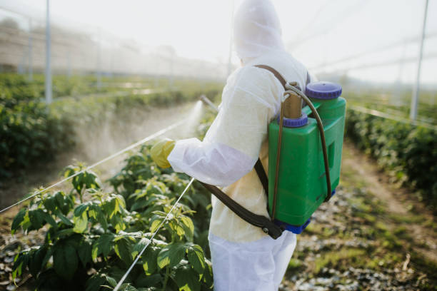 Best Residential Pest Control  in Carpendale, WV